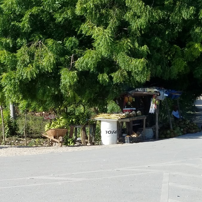 Roadside stand