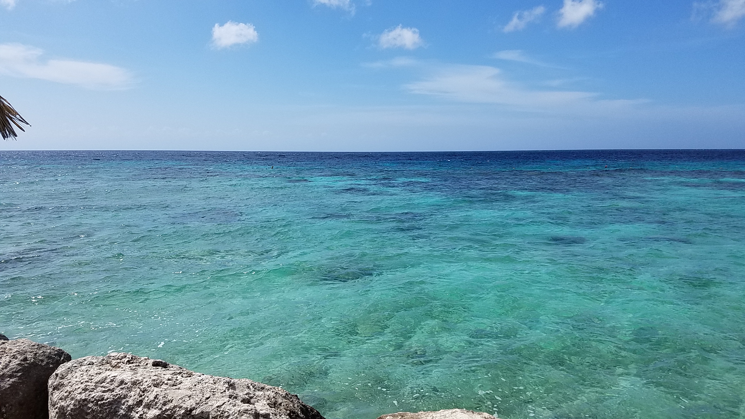 De Palm Island, Aruba