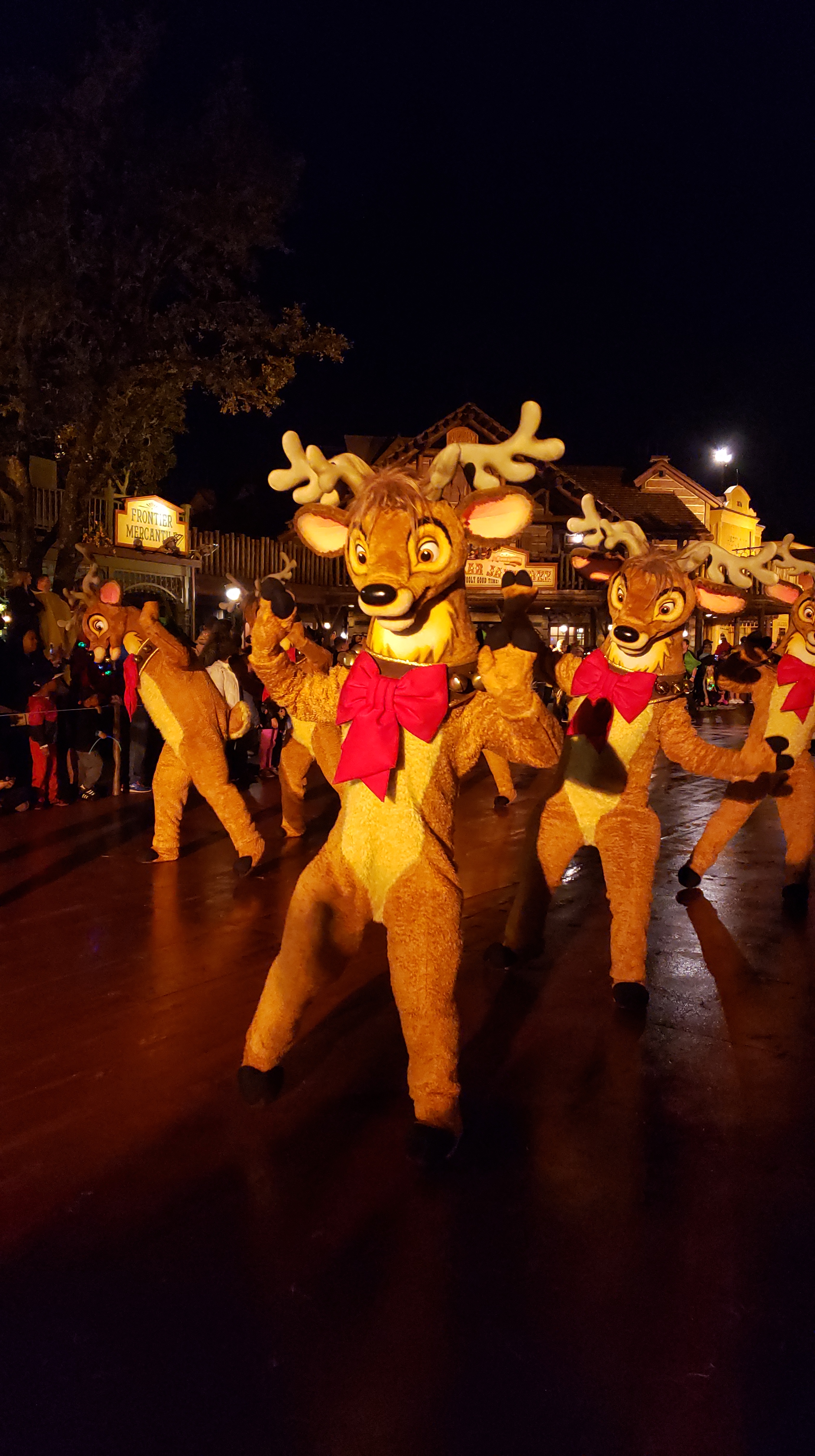 Reindeers in the parade