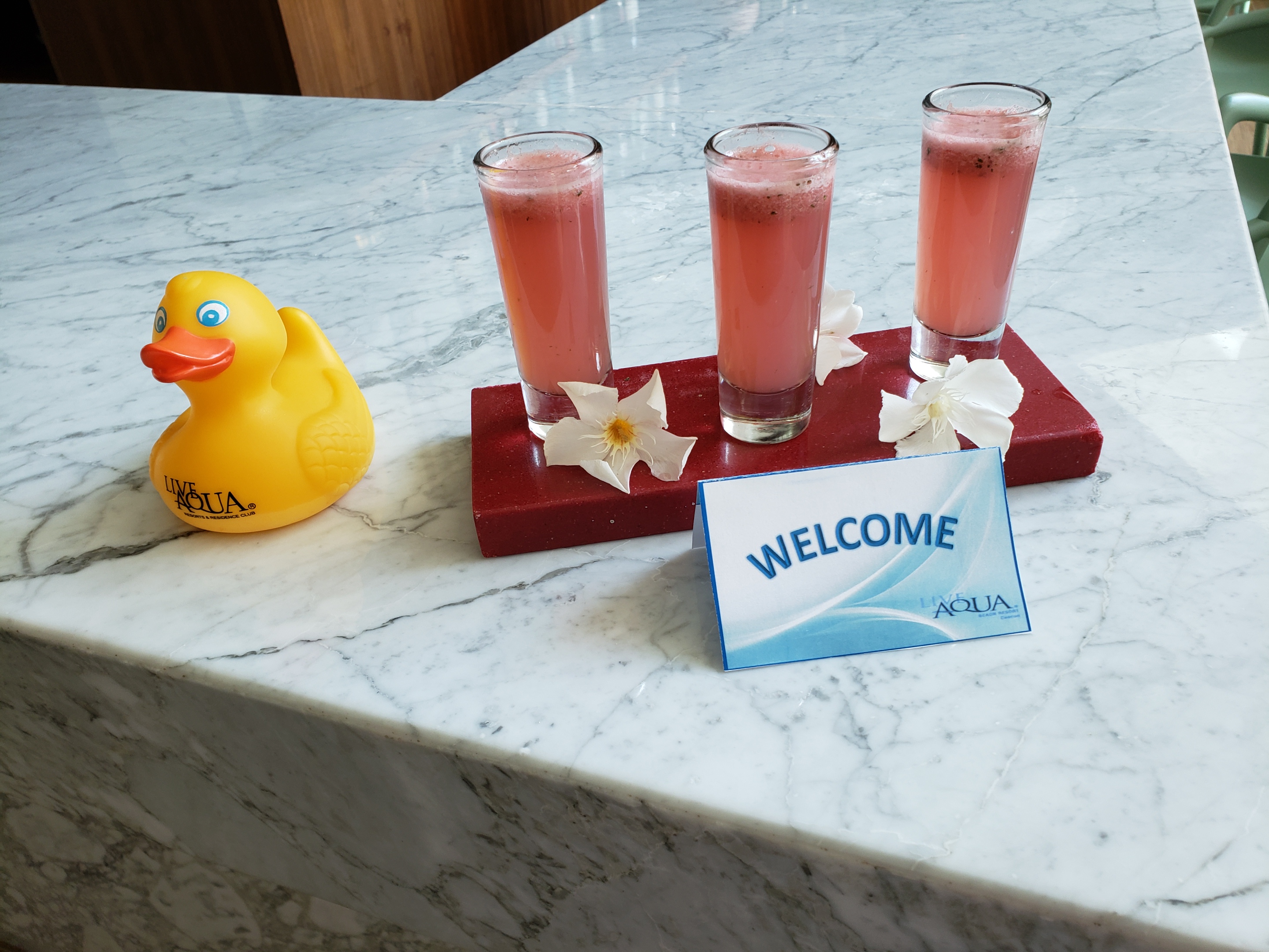 Welcome to Live Aqua Beach