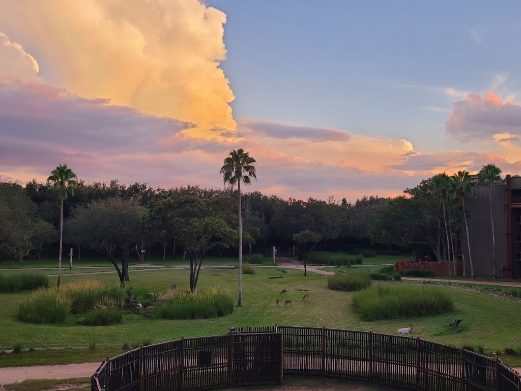 Partial savanna view at Animal Kingdom Lodge at sunset